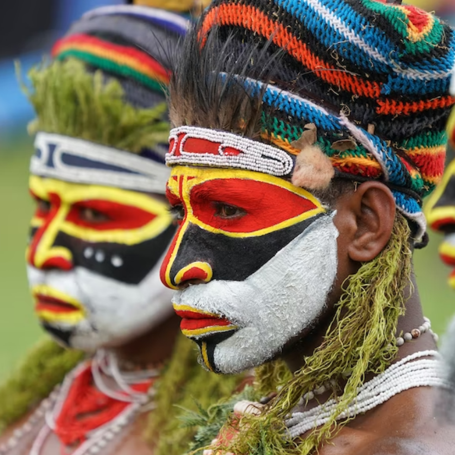 Pássaro considerado extinto desde 1882 é visto em vídeo em Papua Nova Guiné