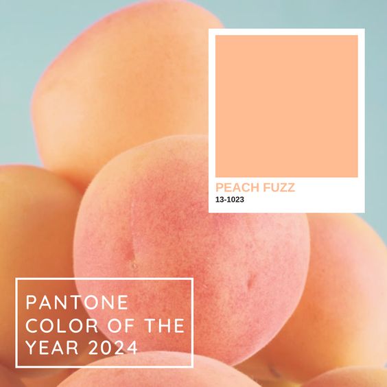 Cor do Ano 2024: Pantone Peach Fuzz - Presença de Luxo