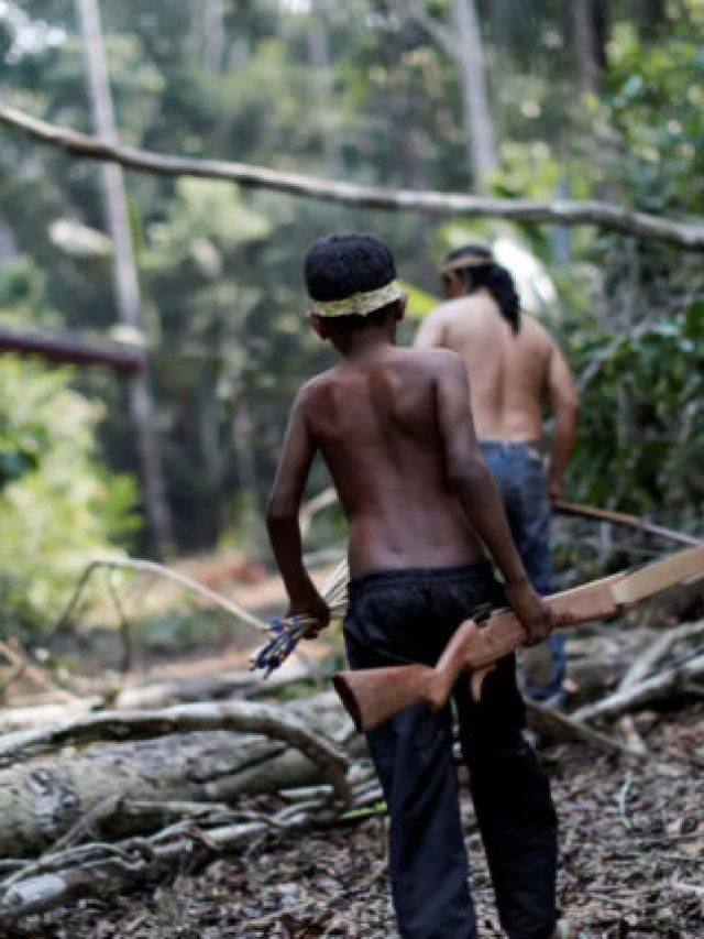 Amazônia Legal têm taxa de assassinatos 45% maior que média do Brasil