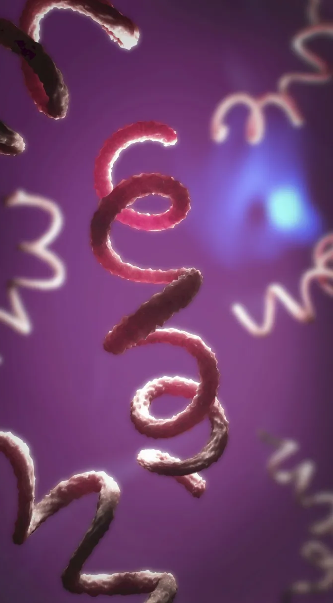 DNA antigo oferece novas evidências de teoria sobre origem da sífilis
