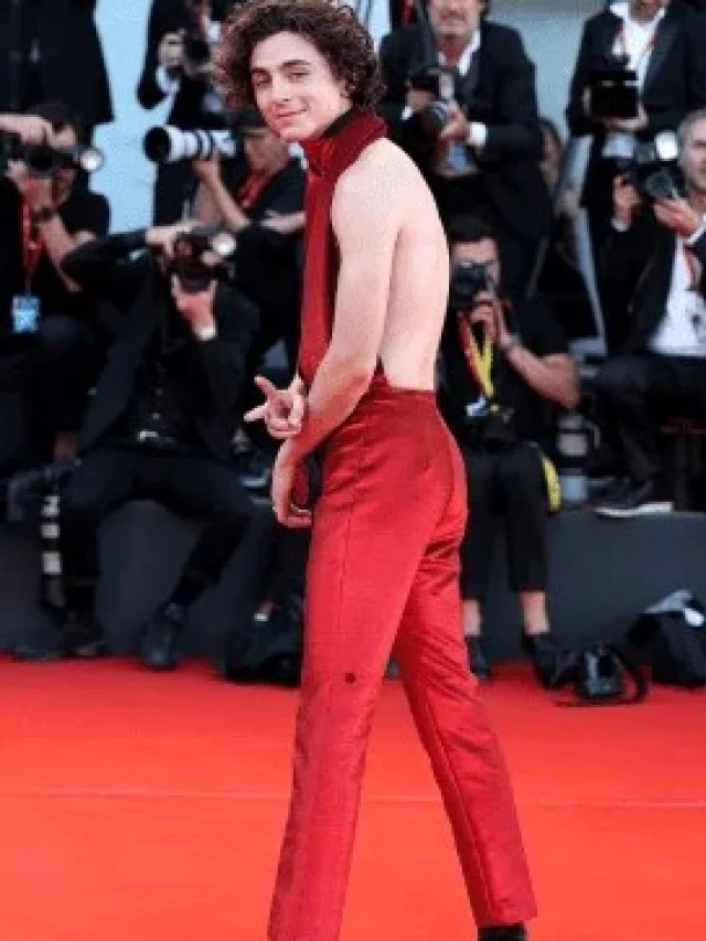 Veja melhores looks do ator Timothée Chalamet em tapetes vermelhos