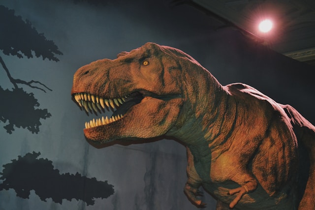 Dinossauros exibiram rápida taxa de crescimento, mostra estudo