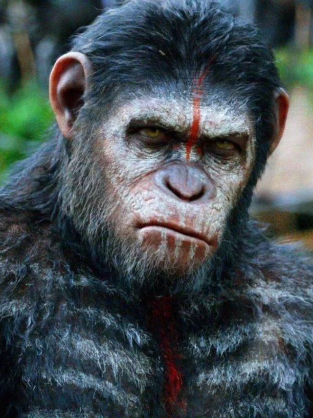 Planeta dos Macacos: entenda a ordem cronológica dos filmes