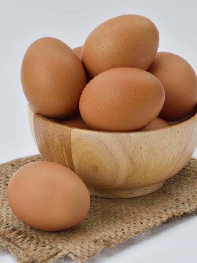Entenda por que ovos marrons custam mais do que ovos brancos