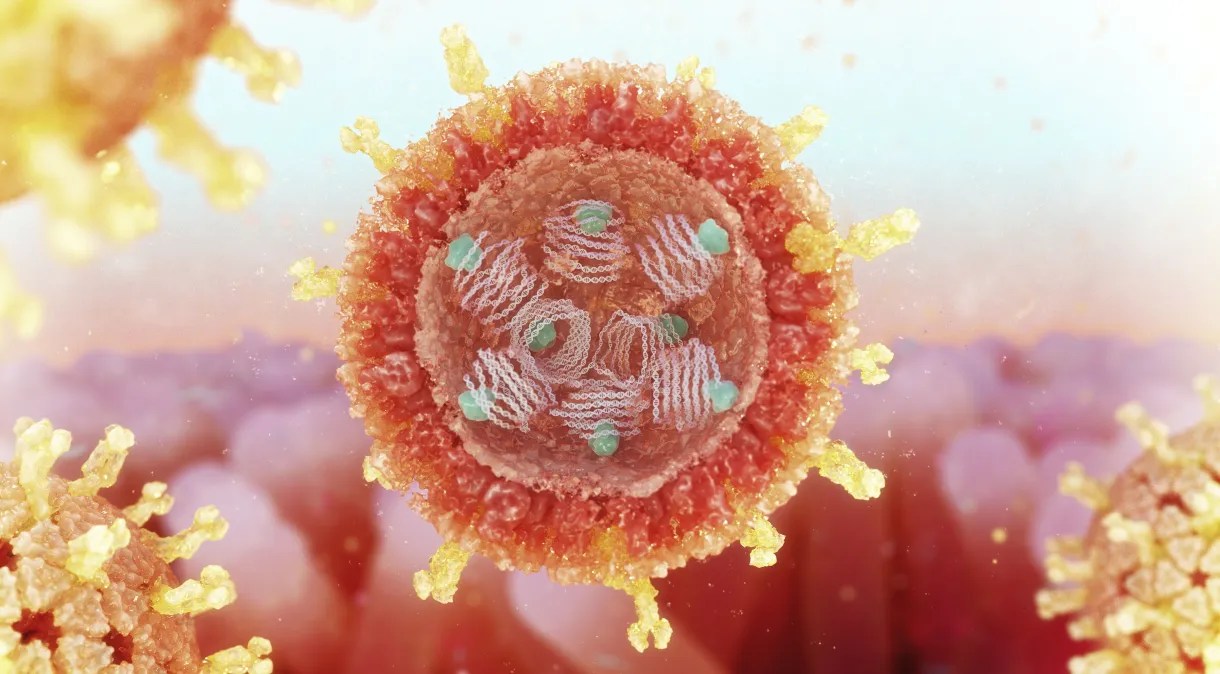 Rotavírus: saiba o que é e como evitar a infecção