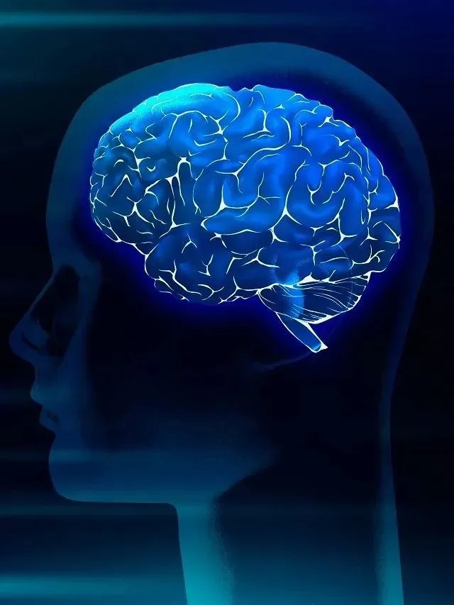 Como proteger o cérebro do declínio cognitivo no envelhecimento?