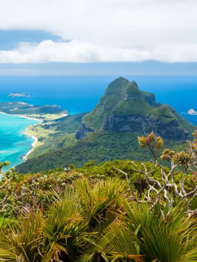 Por que só 400 pessoas por vez podem visitar essa ilha na Austrália?