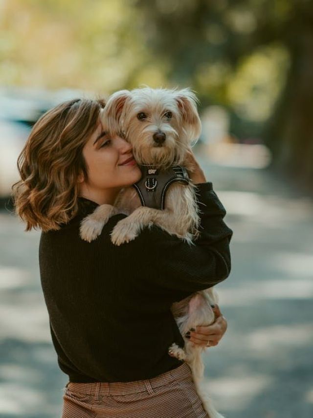 cropped-pexels-juan-vargas-