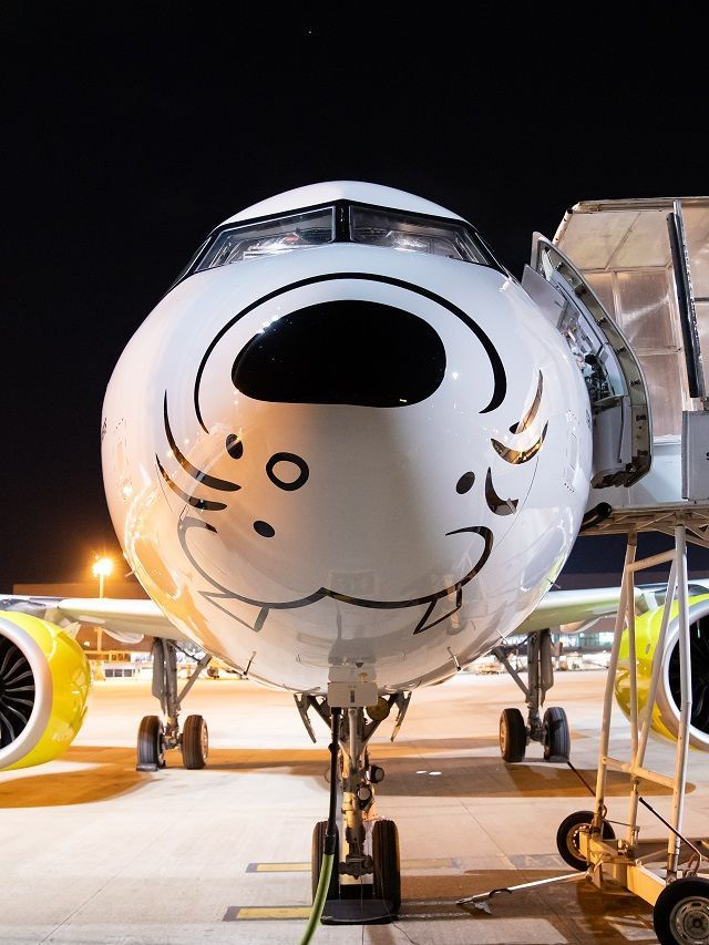 Avião do Pateta chega aos céus do Brasil em parceria com a Disney