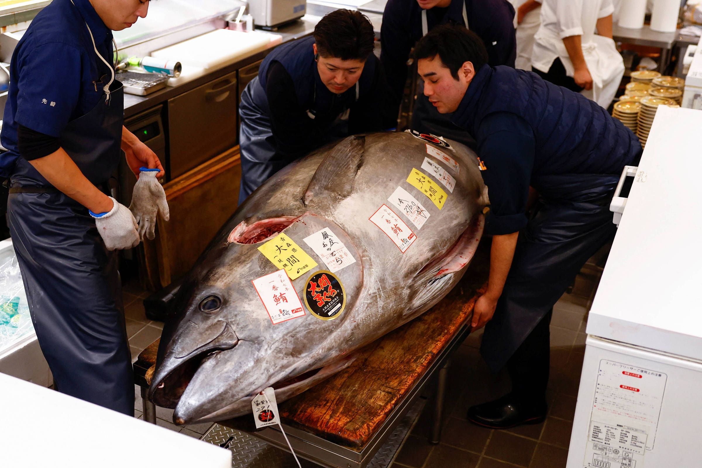 Atum do tamanho de uma moto é leiloado por mais de US$ 1 mi no Japão