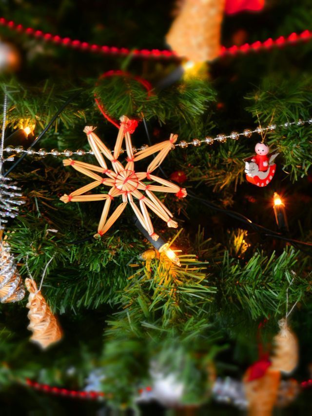 Cinco clássicos de Natal que ajudam a praticar o inglês; confira