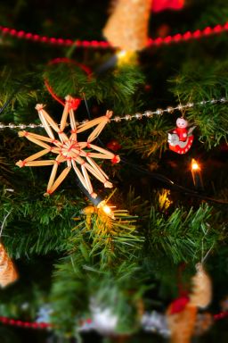 Cinco clássicos de Natal que ajudam a praticar o inglês; confira