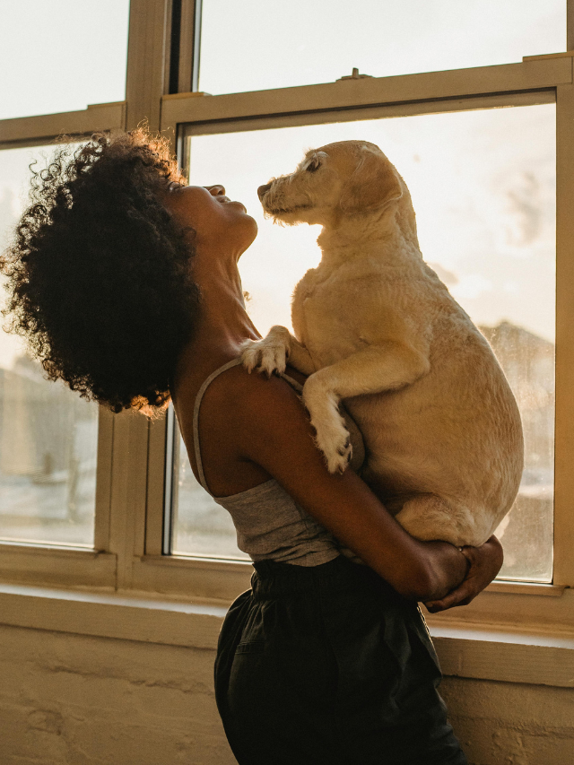 Estudo: morte de pet causa um luto mais intenso do que a de parentes