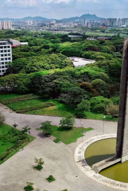 USP: pesquisa sobre antirracismo ganha prêmio Vladimir Herzog