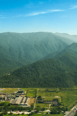 Veja como o Brasil aposta na bioeconomia para acelerar a descarbonização