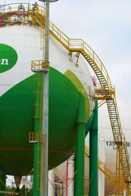 A jornada do I’m green™ bio-based: da cana-de-açúcar ao biopolímero