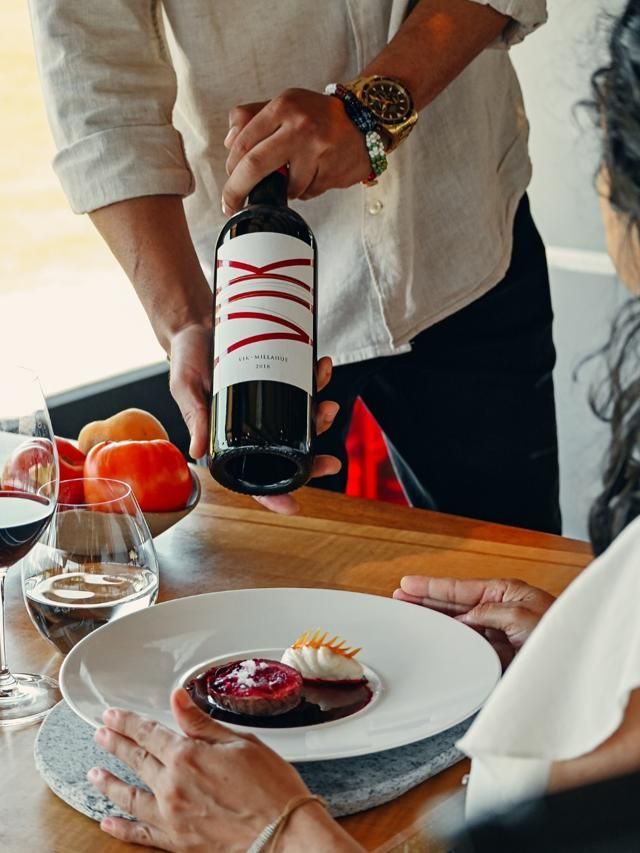 Conheça o vinhedo chileno eleito o melhor do mundo em 2025