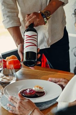 Conheça o vinhedo chileno eleito o melhor do mundo em 2025