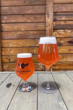 Melhor cerveja do Brasil é do Paraná e tem polpa de amora e morango