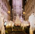 Icônica árvore de Natal de NY chega ao Rockefeller; veja curiosidades