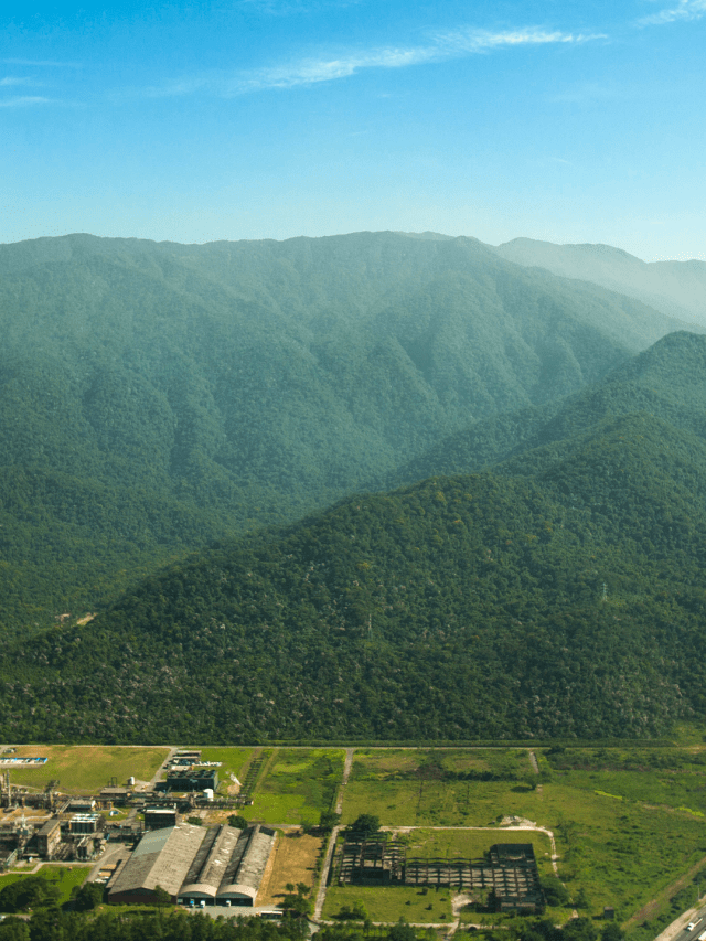 Veja como o Brasil aposta na bioeconomia para acelerar a descarbonização