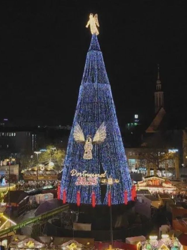 Árvore de Natal mais alta do mundo é acesa na Alemanha