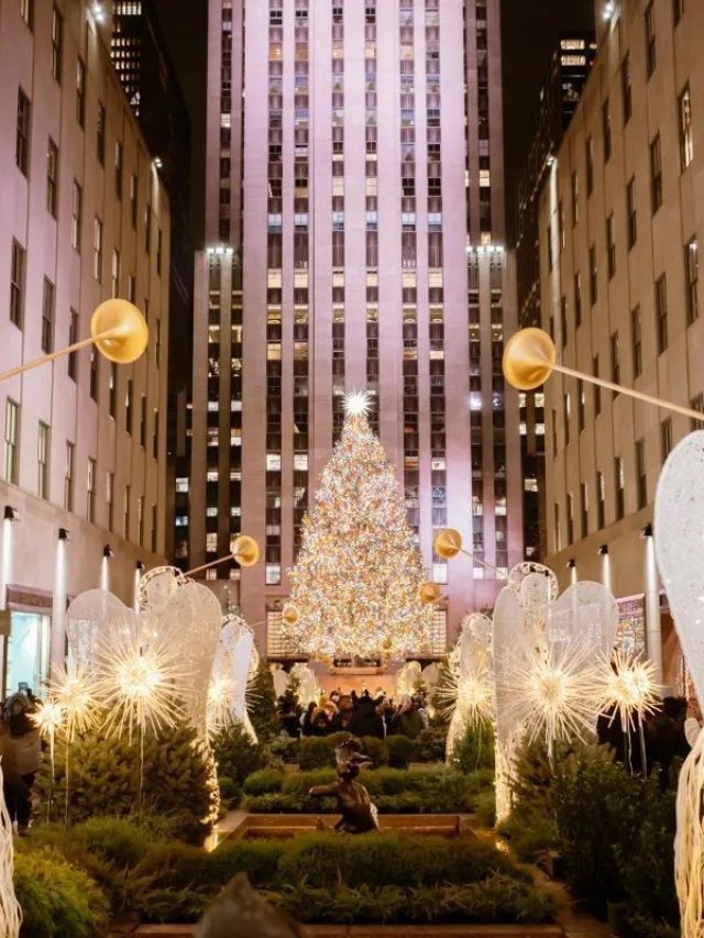 Icônica árvore de Natal de NY chega ao Rockefeller; veja curiosidades