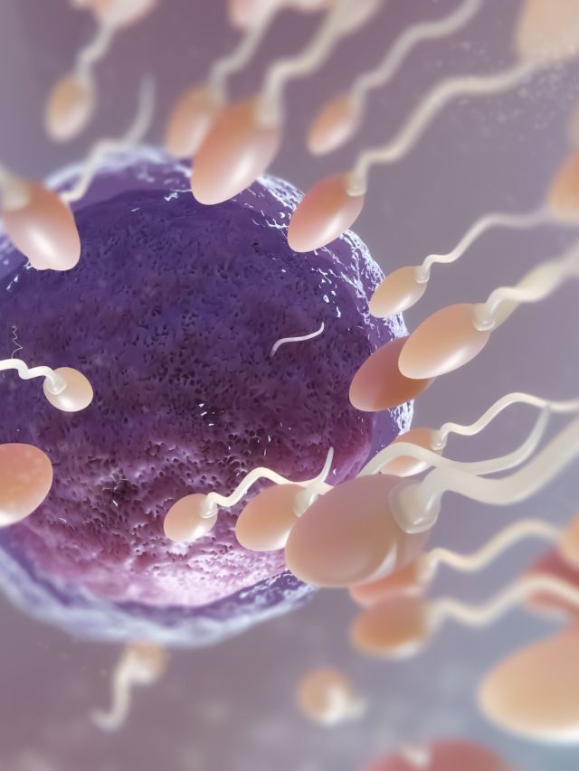 Doação de óvulos: como funciona e quem pode se beneficiar?