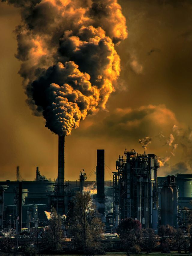 Solastalgia: o que é sofrimento psicológico ligado à crise climática