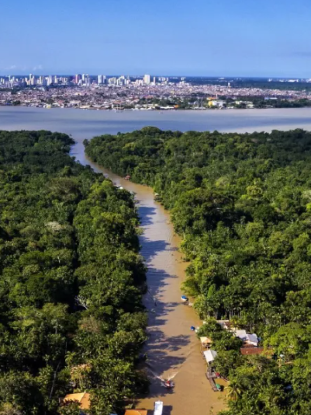 Pesquisadores encontram provas de que dinossauros viveram na Amazônia