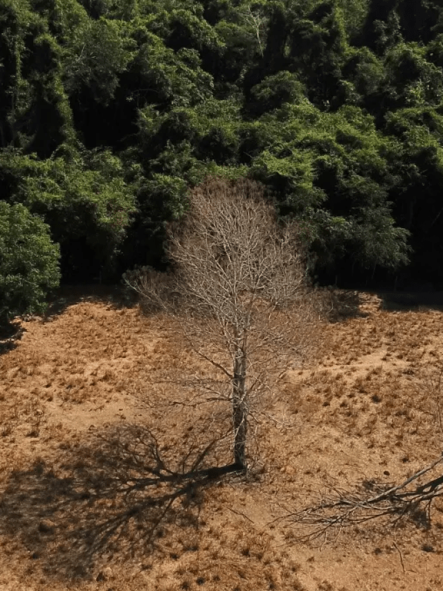 Moody’s: mudanças no clima podem cortar 20% do PIB do Brasil até 2050