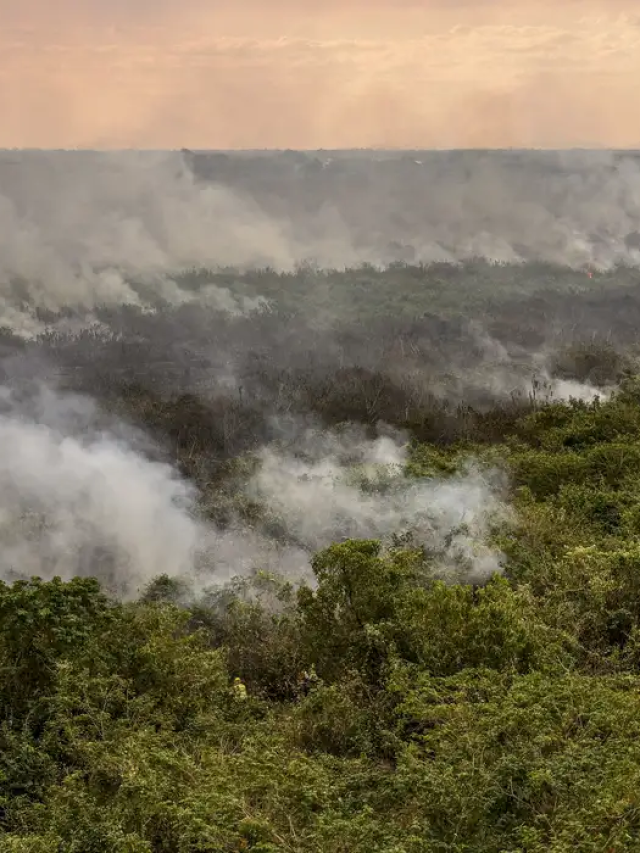 Pantanal é o bioma mais atingido pelo aumento da temperatura no país