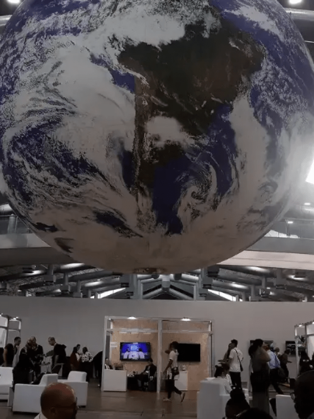 COP30: países amazônicos anunciam monitoramento conjunto da floresta