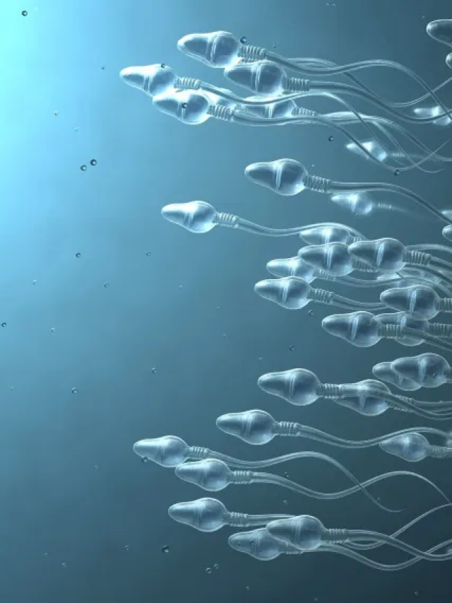 Pesquisa mapeia vírus no sêmen capazes de transmitir doenças