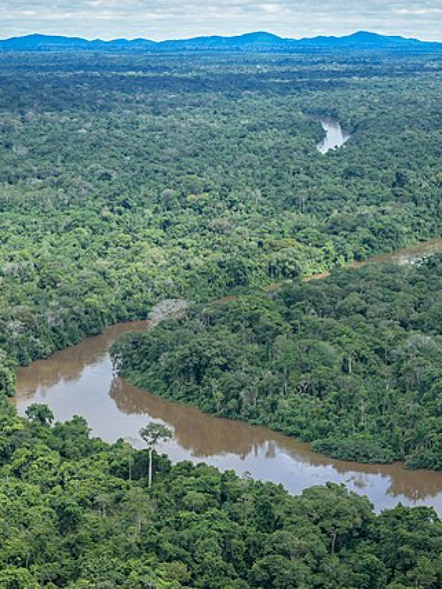 Brasil homologa 4 terras indígenas e assina 10 portarias na COP30