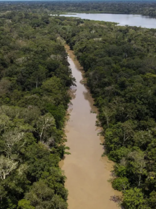 De desmatamento a aquecimento: como o Brasil impacta o clima global