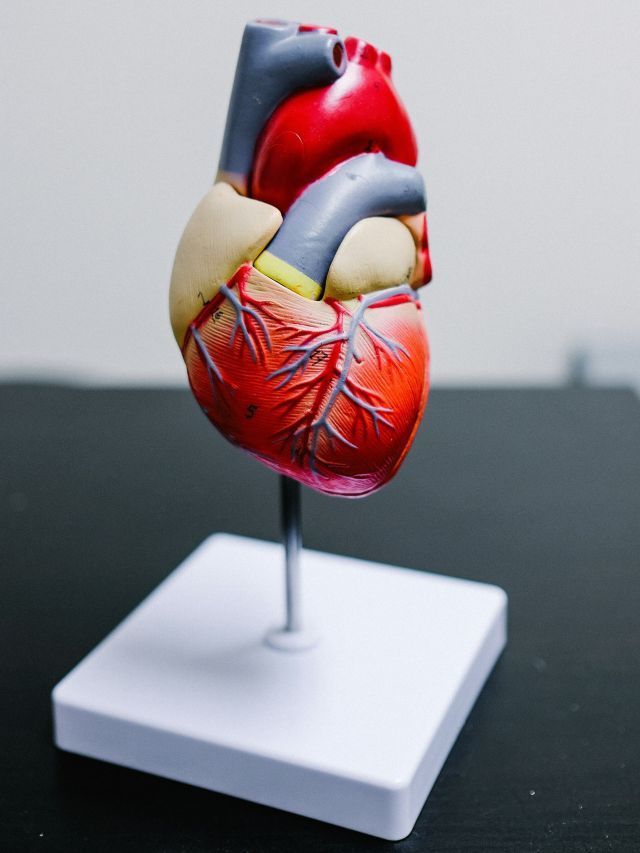 Controlar o colesterol é essencial para evitar segundo infarto