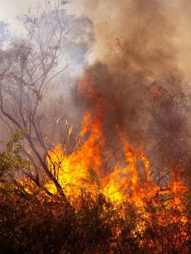 Nova plataforma mapeia efeitos das mudanças climáticas na saúde