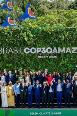 COP30: confira o significado dos termos sobre clima e negociação