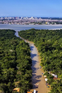 Pesquisadores encontram provas de que dinossauros viveram na Amazônia