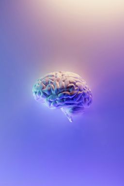 Estudo mostra que inflamação no cérebro pode ser chave do Alzheimer