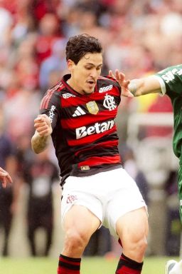 Palmeiras e Flamengo no top 10 mundial: veja ranking de clubes da IFFHS