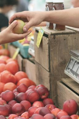 5 novos mercados gastronômicos pelo Brasil para incluir no roteiro