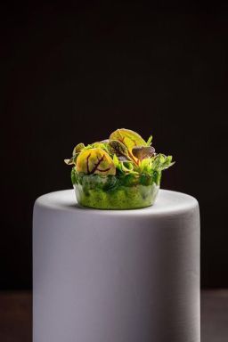 Espanha tem cinco novos restaurantes com duas estrelas Michelin