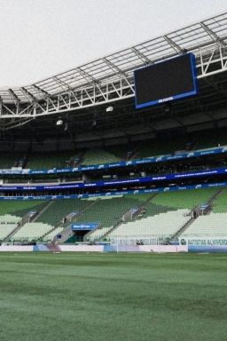 Palmeiras troca gramado sintético e ficará fora do Allianz por 3 meses