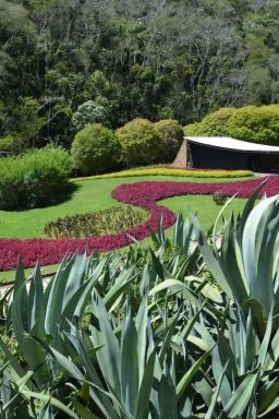Conheça casa de Niemeyer com paisagismo de Burle Marx que abre em 2028