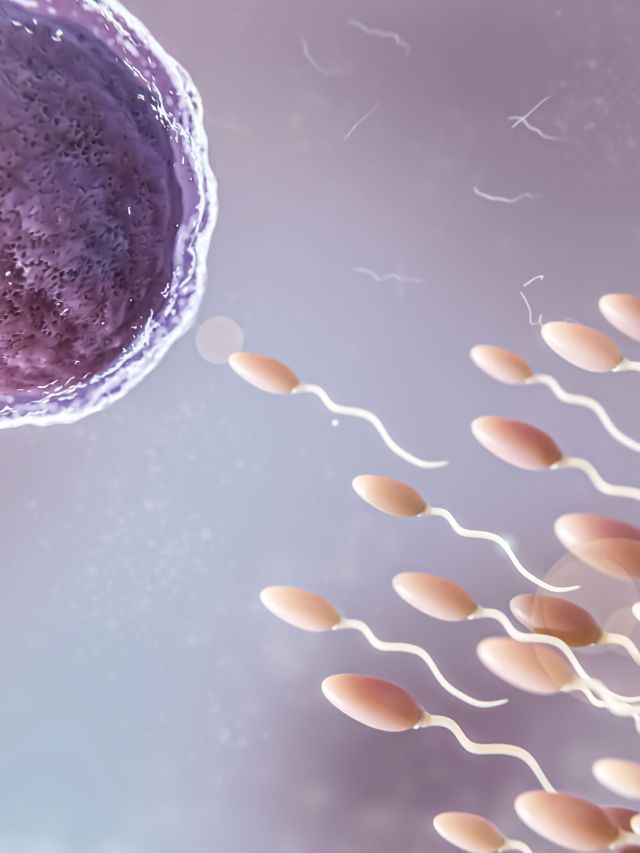 Quando a gravidez natural não acontece: fertilização amplia chances