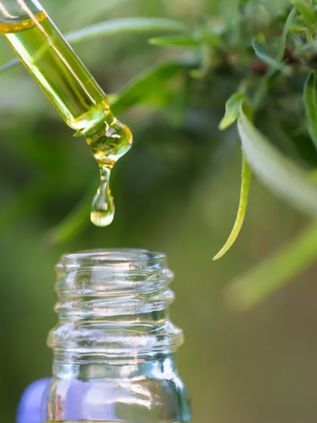 Estudo revela perfil de pacientes que buscam cannabis medicinal