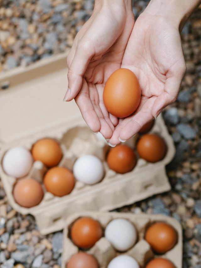 Ovo ou frango? Veja qual é melhor para ganho de massa muscular