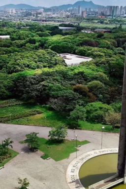 Fuvest: leitura obrigatória terá autores indígenas e peças de teatro